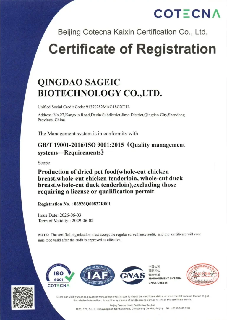 Iso9001