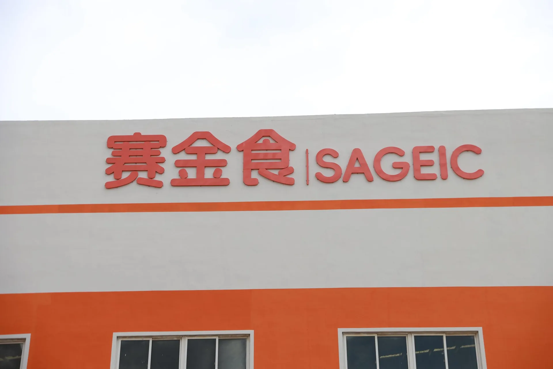 Wall Logo